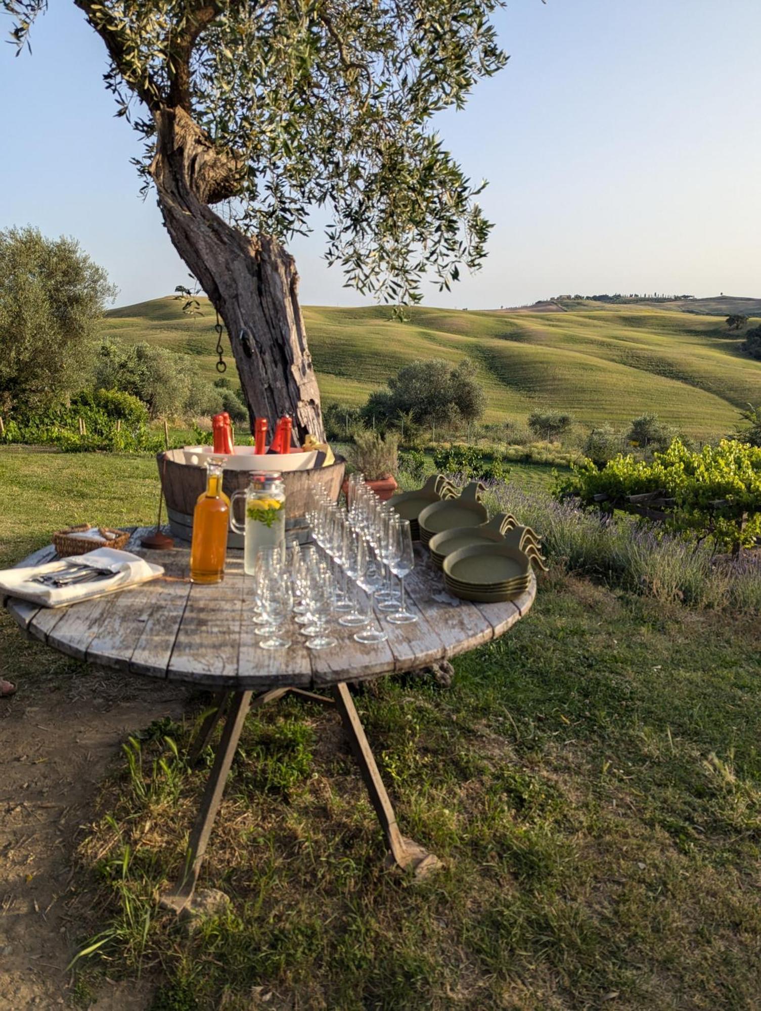 Farm stay Podere Spedalone *