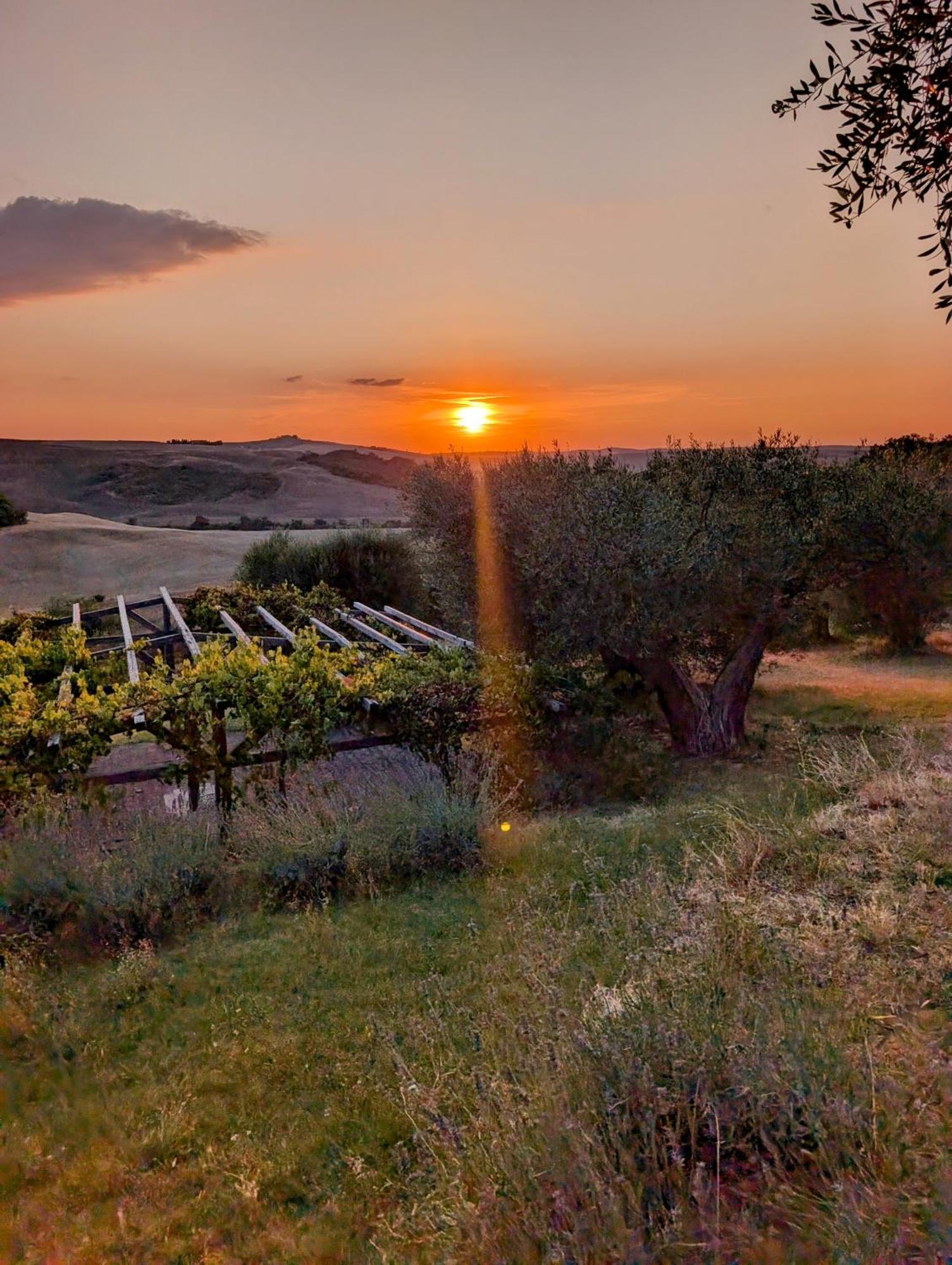 Bauernhof Podere Spedalone Pienza