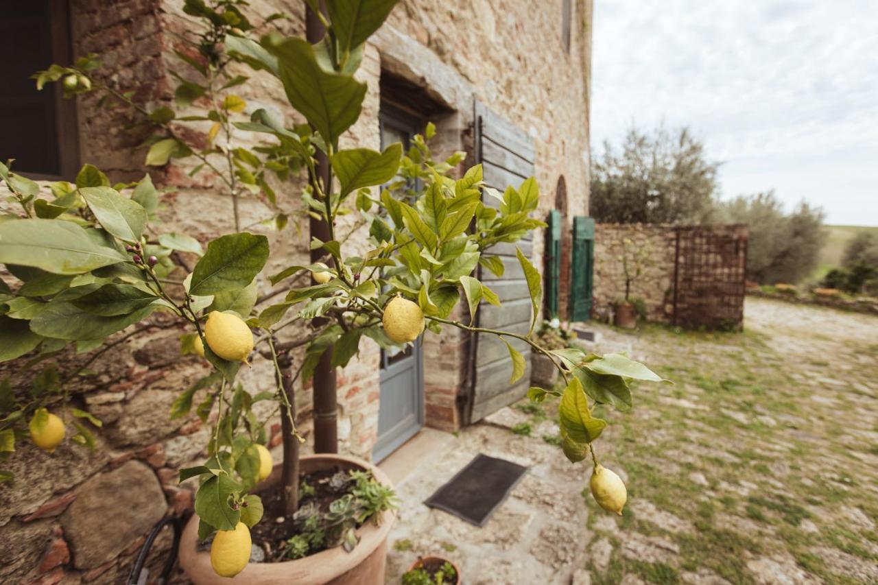 Podere Spedalone Farm stay *