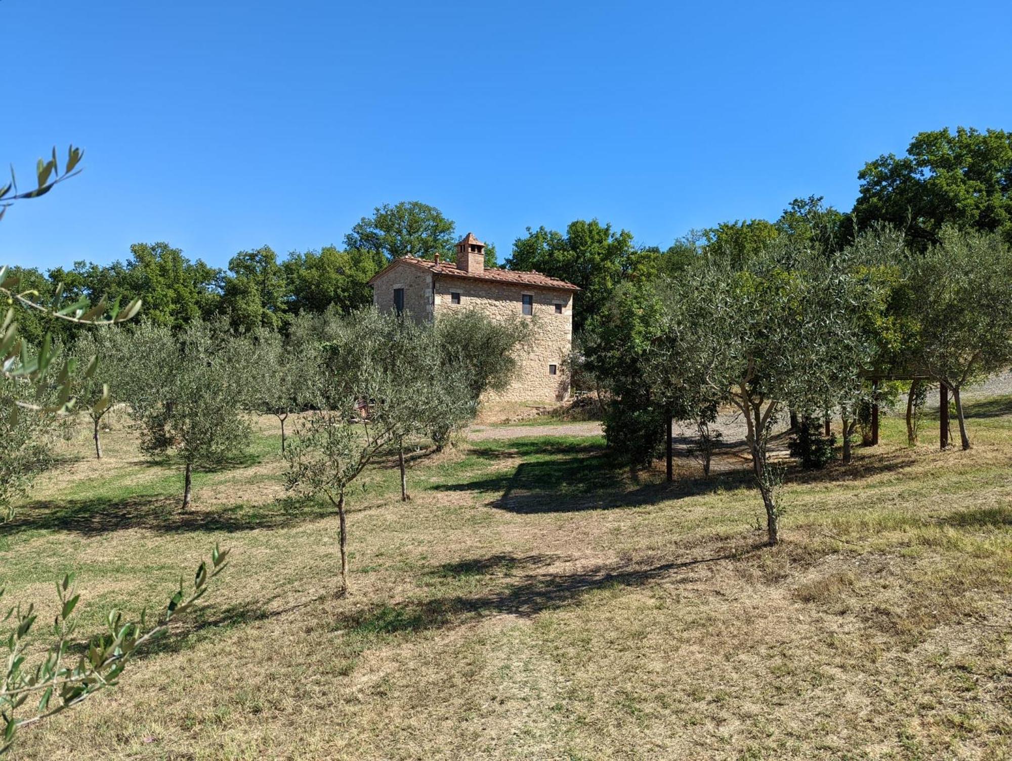 Podere Spedalone * Pienza