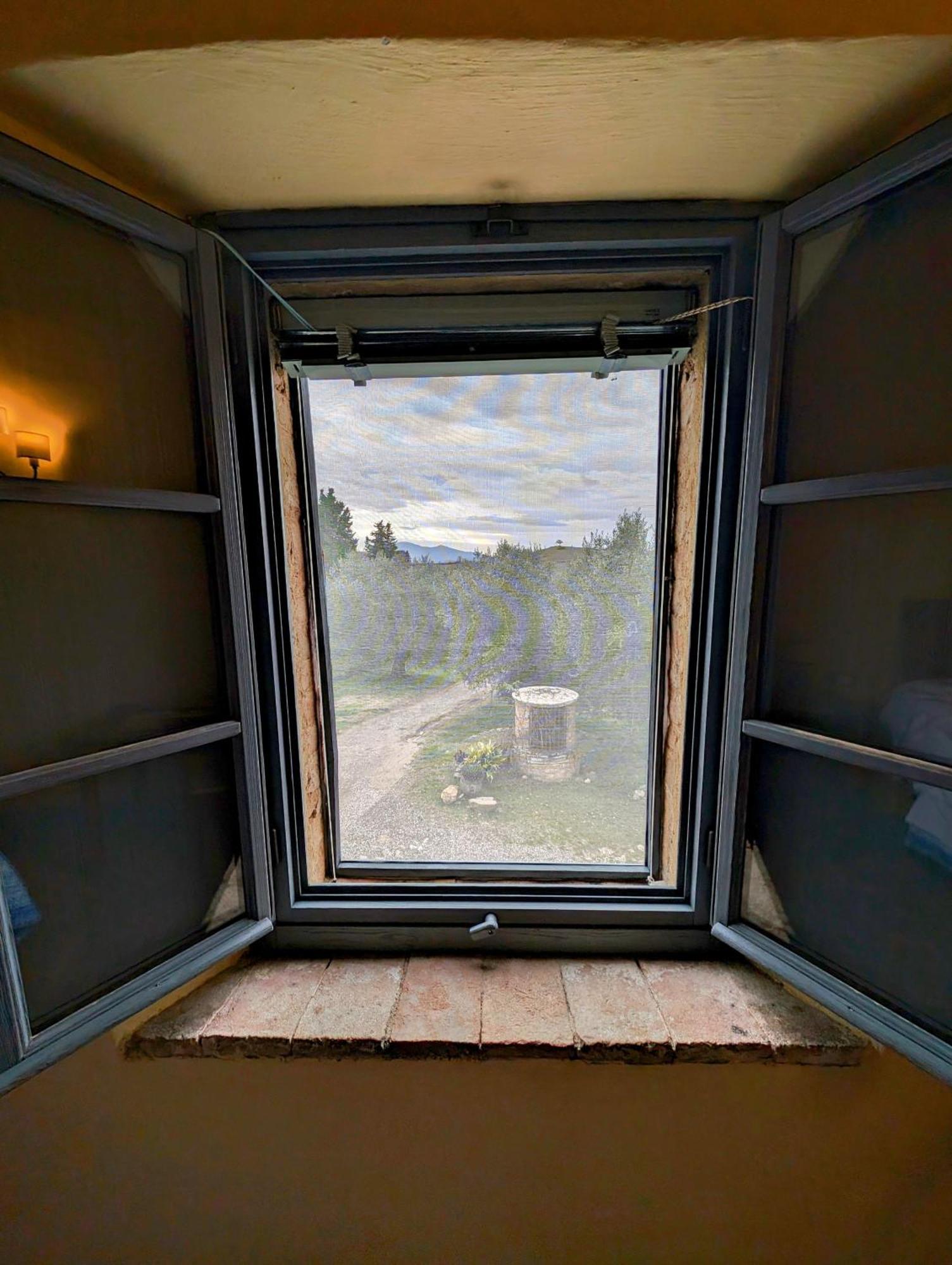 Podere Spedalone Farm stay