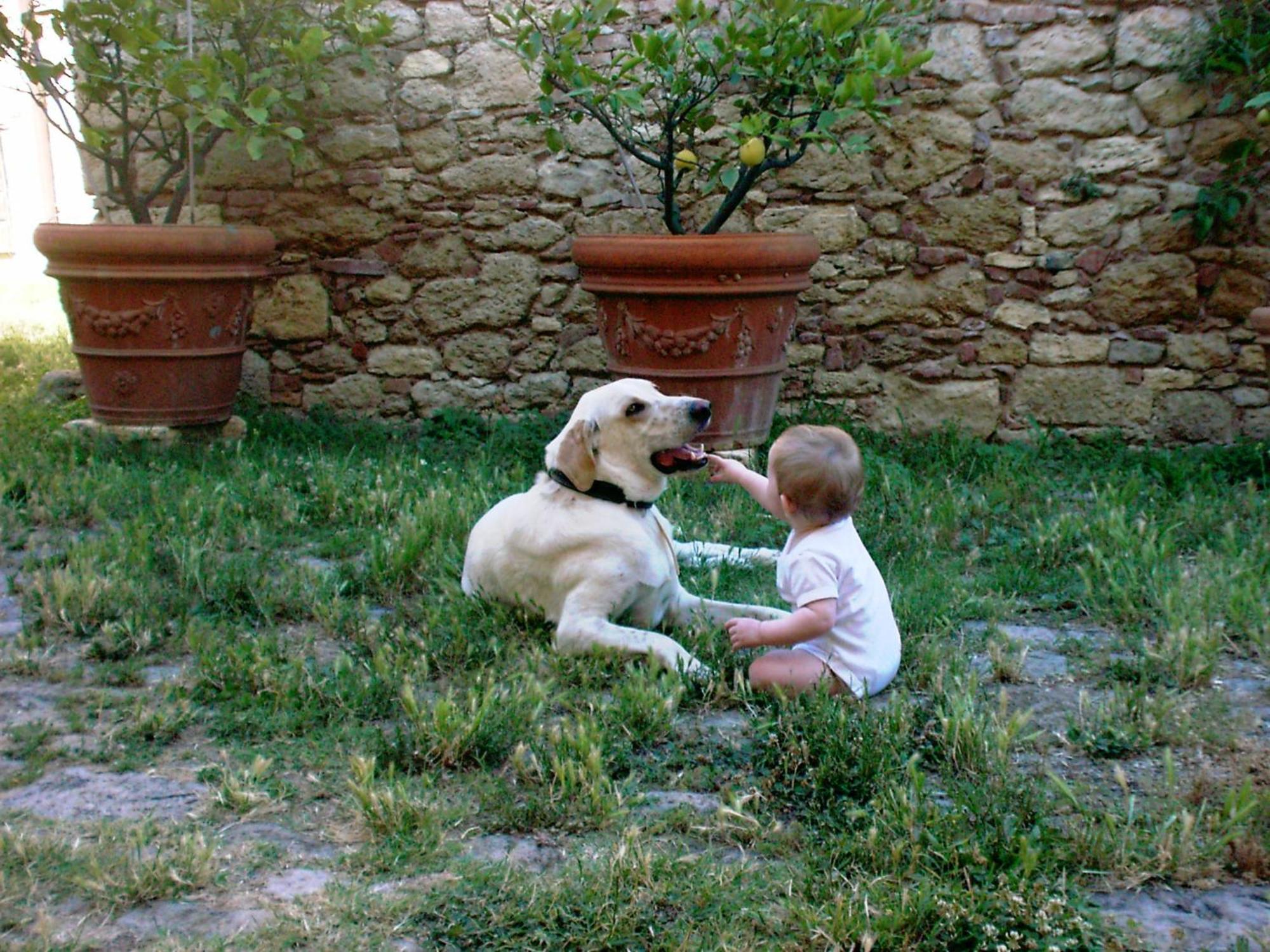 Farm stay Podere Spedalone