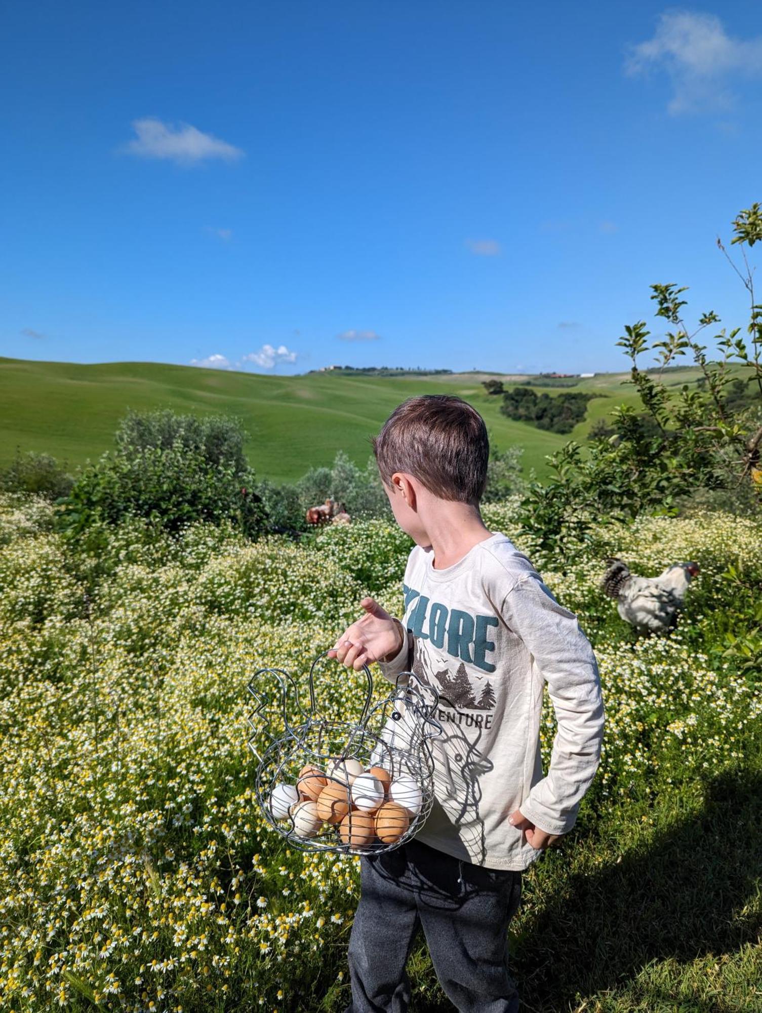 Podere Spedalone Farm stay